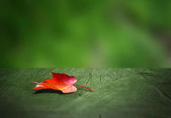 Красный осенний лист на старом деревянном фоне  . — стоковое фото