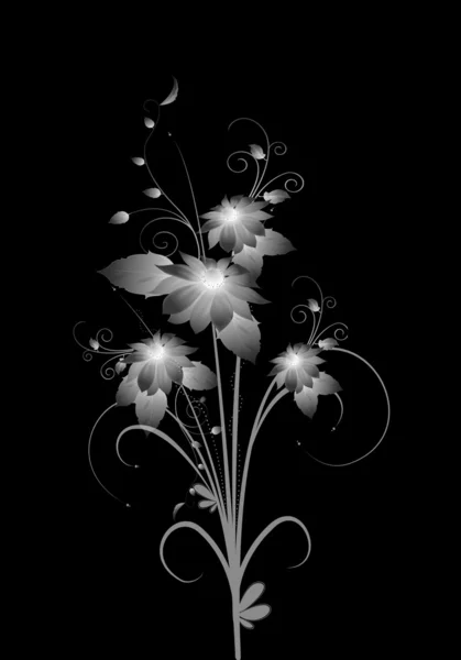 White flowers on black background. — Stock Vector