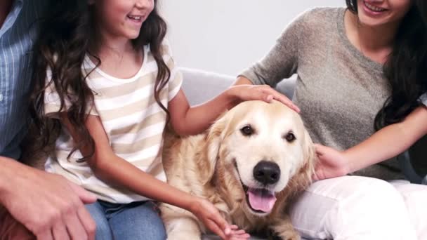 Niedliche Familie streichelt einen Hund im Wohnzimmer — Stockvideo