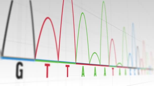 Animace grafů a statistiky — Stock video