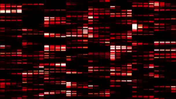 Animation de carrés rouges se déplaçant rapidement — Video