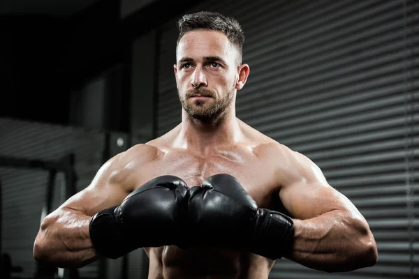 Determined shirtless man with boxe gloves — Stock Photo, Image