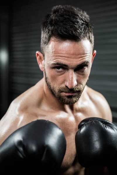 Determined shirtless man with boxe gloves — Stock Photo, Image