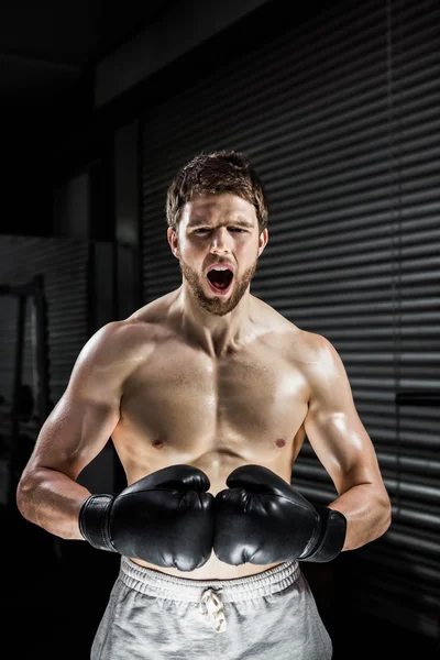 Hombre sin camisa con guantes de boxeo gritando — Foto de Stock