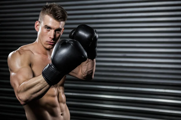 Homem sem camisa com luvas de boxe — Fotografia de Stock