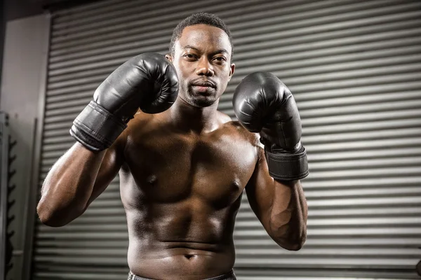 Entraînement boxeur sans chemise — Photo