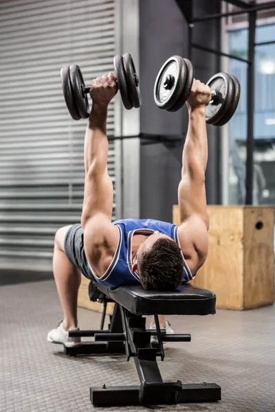 Muskulös man på bänk lyfta hantlar — Stockfoto