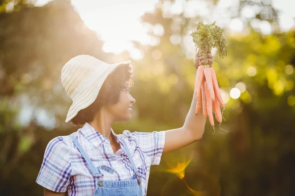 Mujer sonriente sosteniendo zanahorias —  Fotos de Stock