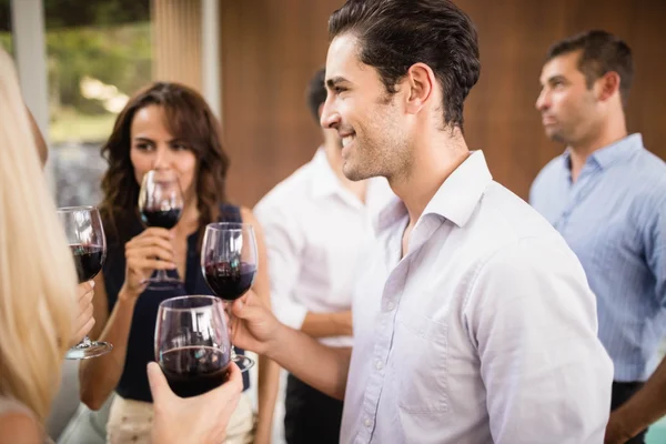 Grupo de amigos tomando vinho — Fotografia de Stock