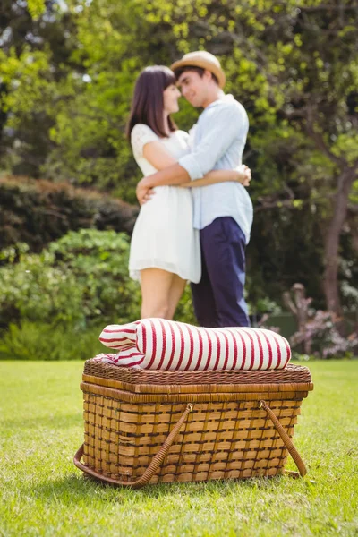 Picnic basket in garden — Stock Photo, Image