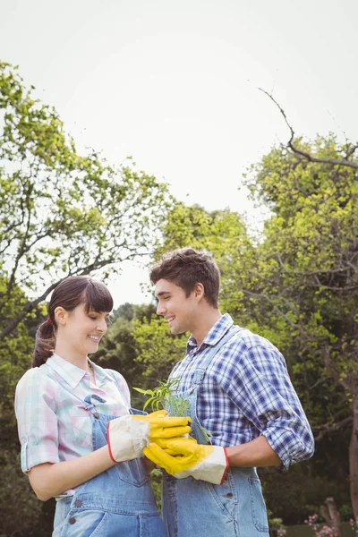 Jeune couple tenant un arbuste — Photo