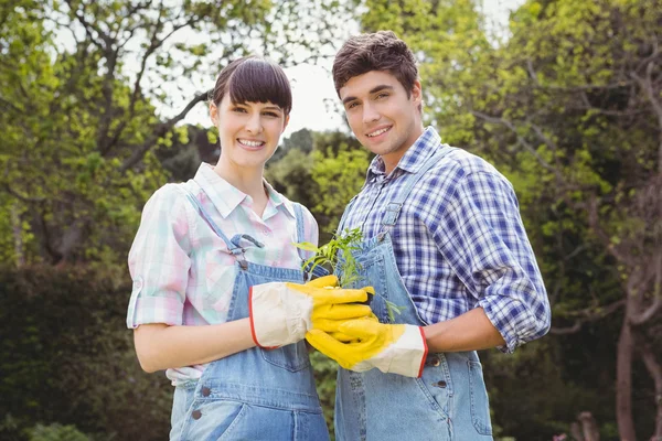 Jeune couple tenant un arbuste — Photo