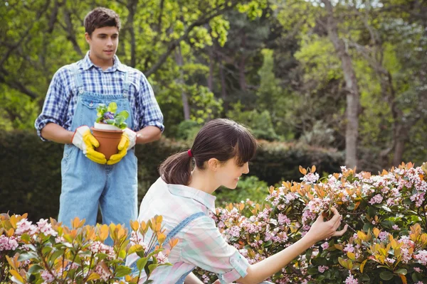 Jovem casal mantendo plantas no jardim — Fotografia de Stock