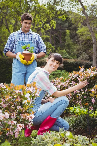 Pareja joven manteniendo plantas en el jardín — Foto de Stock