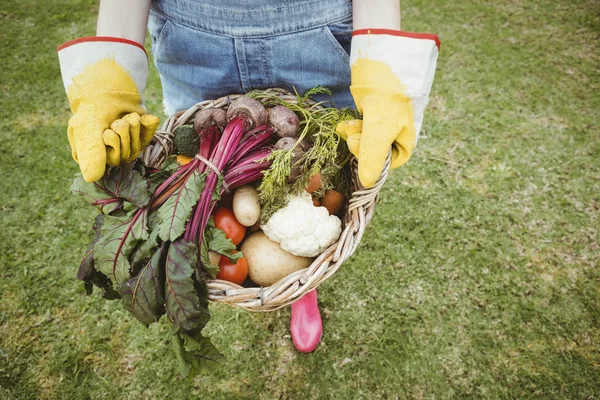 Mulher segurando um cesto de legumes recém-colhidos — Fotografia de Stock