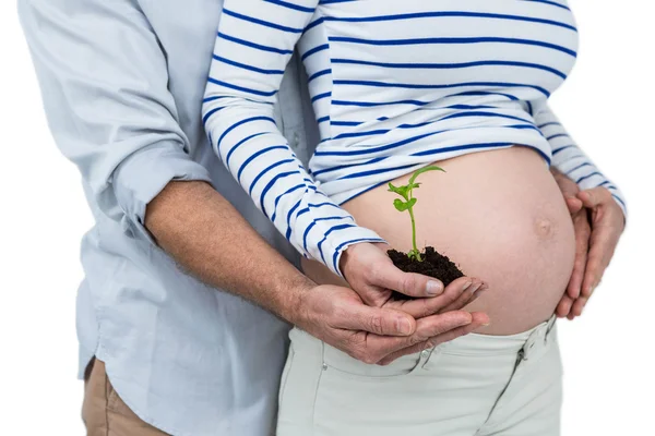 Pregnant couple holding sapling — Stock Photo, Image