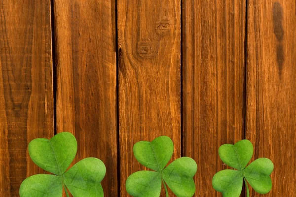 Picture of shamrock for st patricks day — Stock Photo, Image