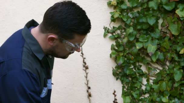 Hombre haciendo control de plagas — Vídeos de Stock