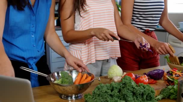 Hermosos amigos preparando ensalada — Vídeo de stock