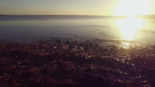 美しいビーチに沈む夕日 — ストック動画