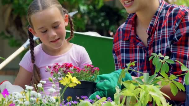 Mother and daughter gardening together — Stock Video