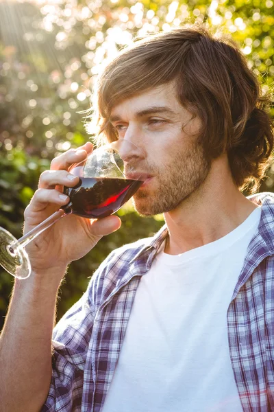 Uomo serio che beve vino rosso — Foto Stock