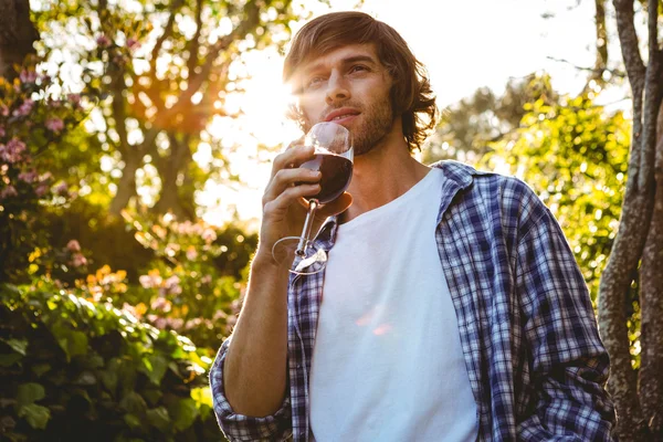 Серьезный человек пьет красное вино — стоковое фото