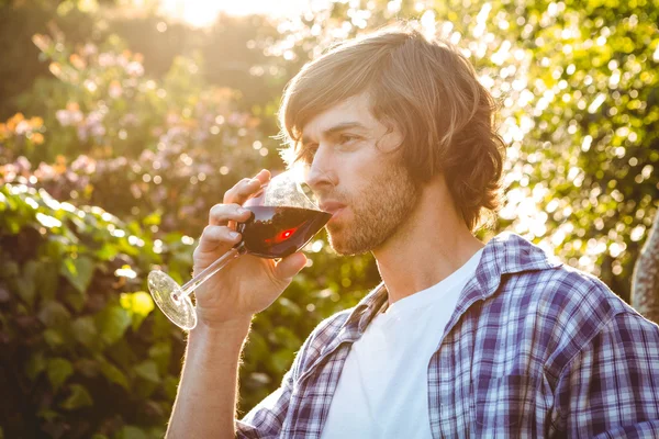 深刻な男の赤ワインを飲む — ストック写真