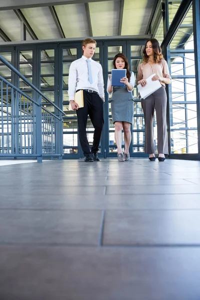 Three confident colleagues discussing — Stock Photo, Image