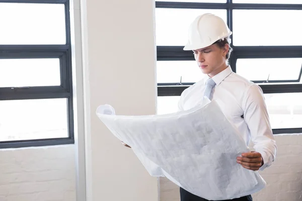 Architect looking at blueprint — Stock Photo, Image