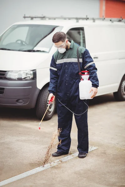 Handyman con insecticida trabajando — Foto de Stock