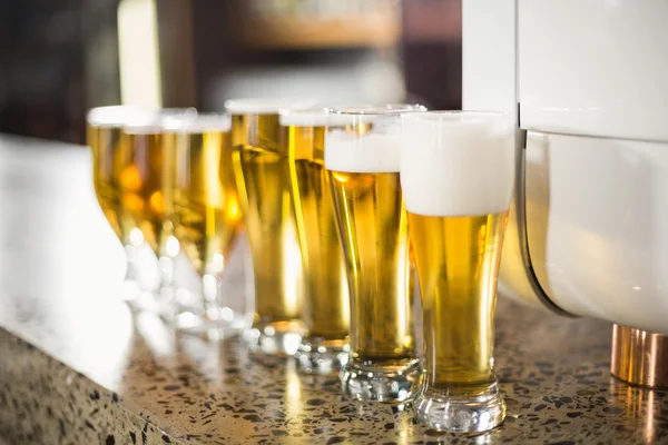 Cervezas alineadas en la mesa — Foto de Stock