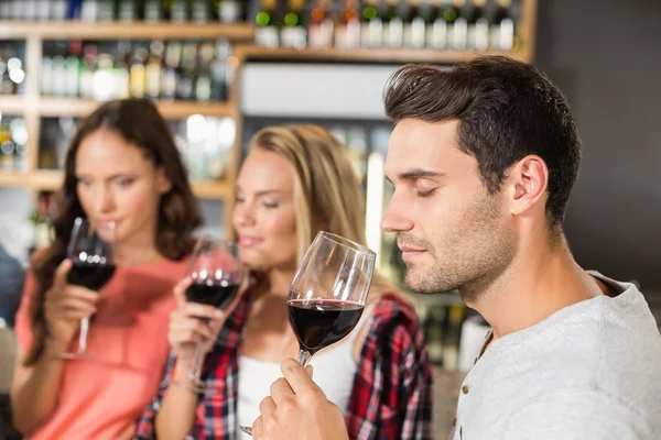 Friends smelling wine — Stock Photo, Image