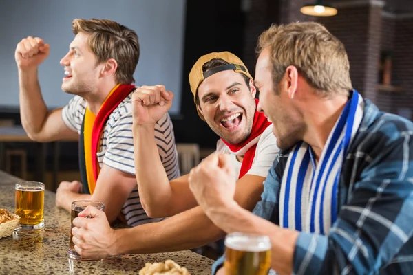 Hombres animando con cervezas —  Fotos de Stock