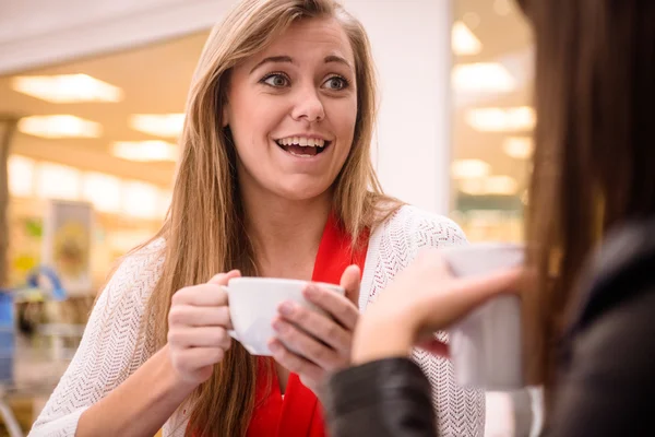 Kvinnor pratar med kopp kaffe — Stockfoto