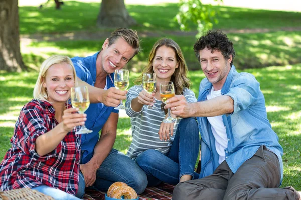 Amigos haciendo un picnic con vino —  Fotos de Stock