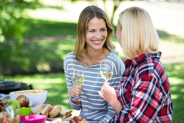 Friends having a picnic with wine — Stock Photo, Image