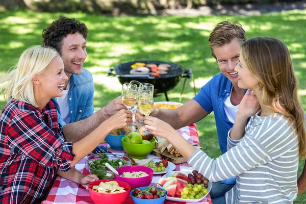 Des amis pique-niquent avec du vin — Photo