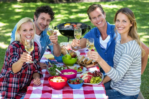 Друзі мають пікнік з вином — стокове фото