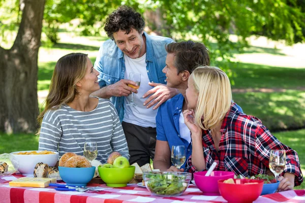 Amici che fanno un picnic con il vino — Foto Stock