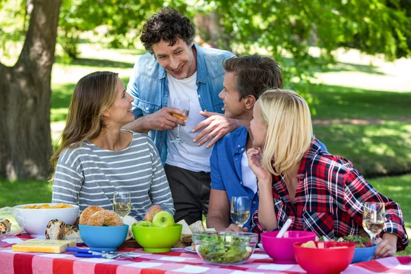 Vrienden hebben een picknick met wijn — Stockfoto