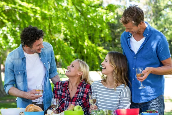 Vrienden hebben een picknick met wijn — Stockfoto