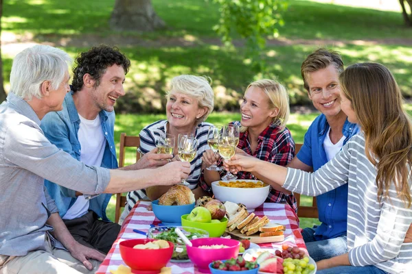 Vrienden hebben een picknick met wijn — Stockfoto