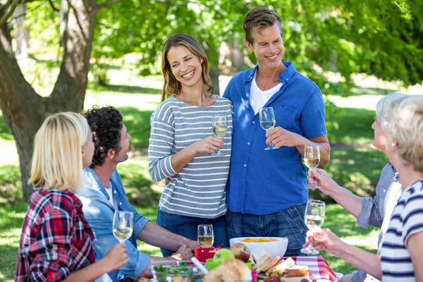 Amigos haciendo un picnic con vino — Foto de Stock