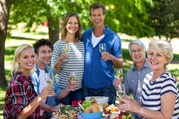 Друзі мають пікнік з вином — стокове фото