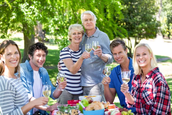 Przyjaciele pikniku z wina — Zdjęcie stockowe