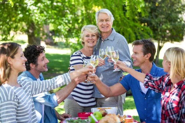 Vänner har picknick med vin — Stockfoto