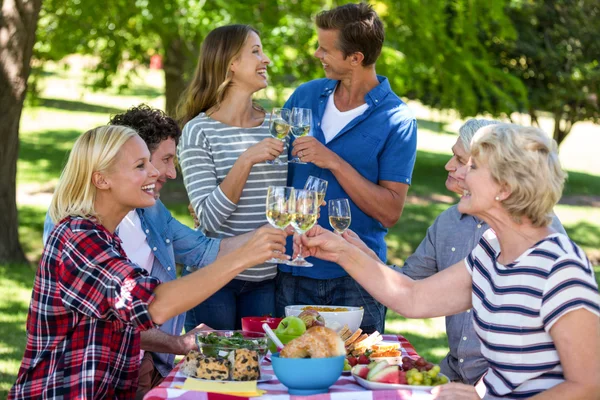 Prieteni cu un picnic cu vin — Fotografie, imagine de stoc