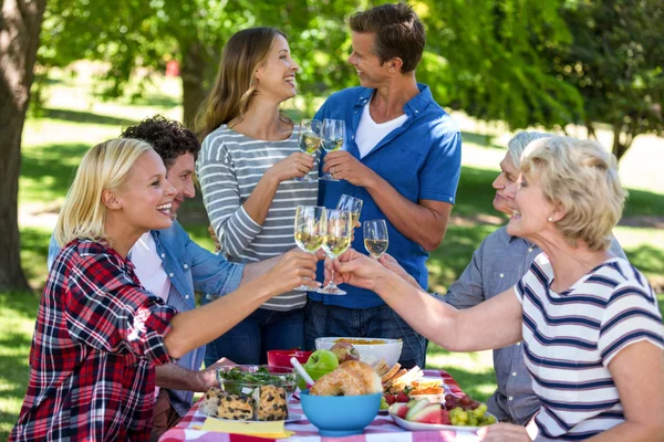 Venner der har en picnic med vin - Stock-foto