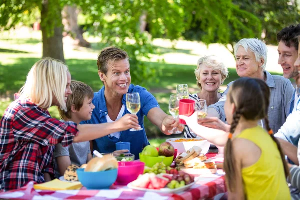 Rodina a přátelé na pikniku — Stock fotografie